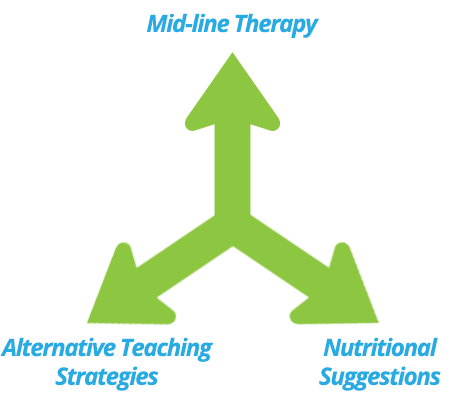 Alternative Teaching Solutions, In-Home Midline Therapy, and Nutritional Suggestions